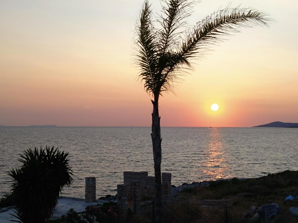 Palmera - Panorama Sarande