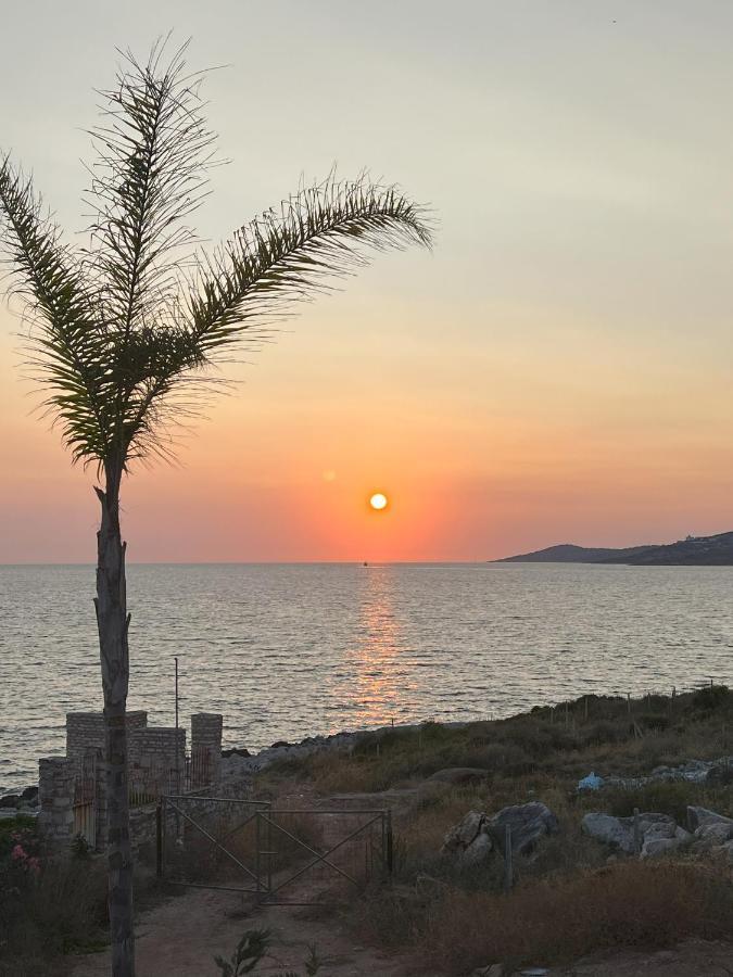 Palmera - Panorama Villa Sarande