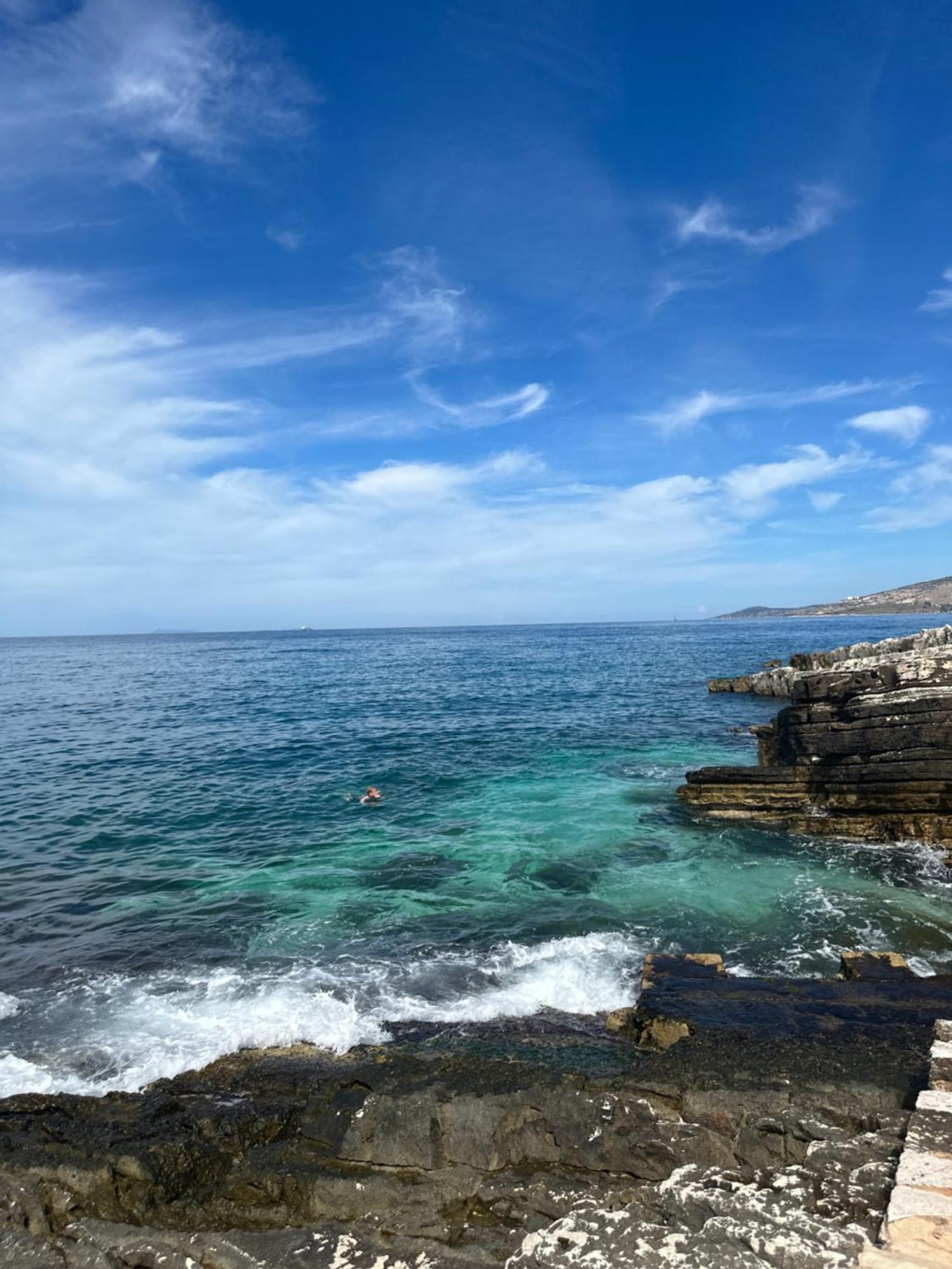 Palmera - Panorama