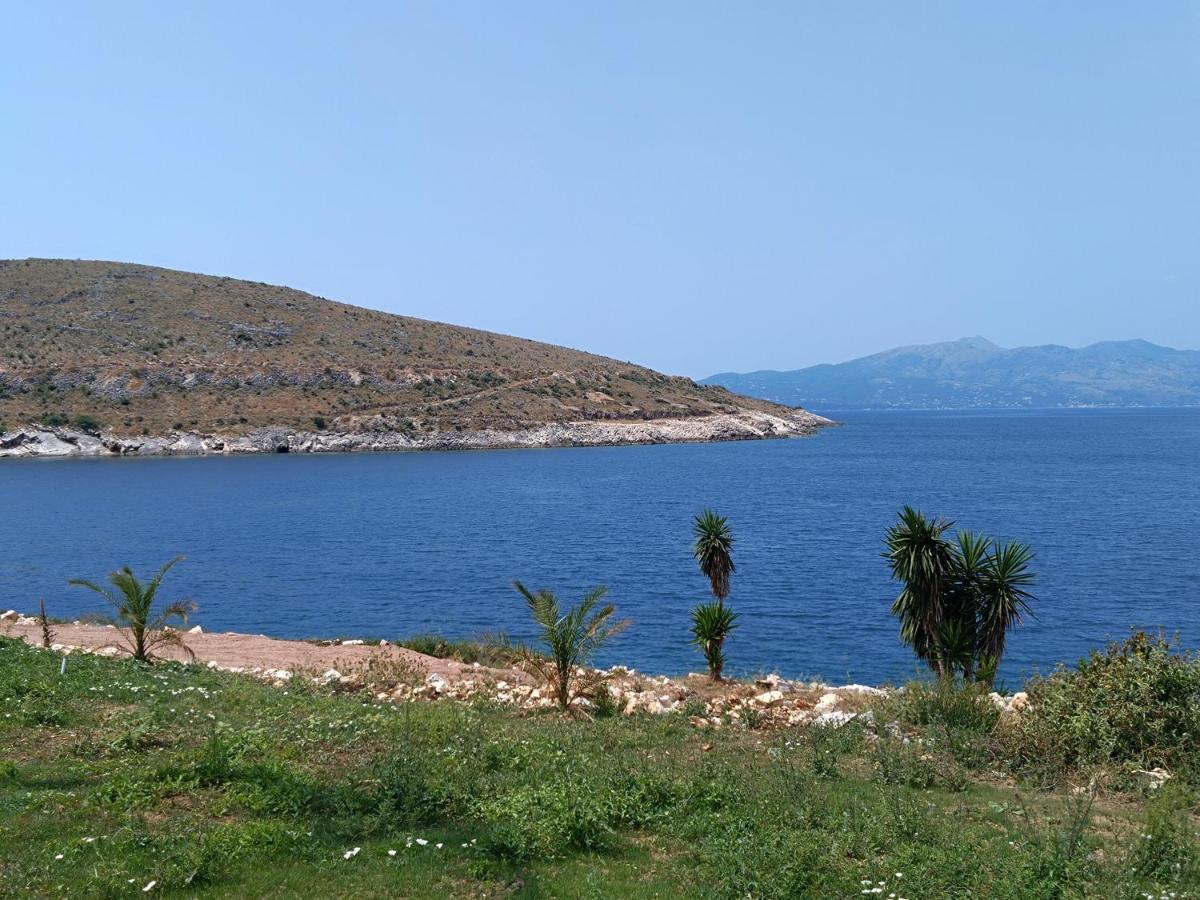 Palmera - Panorama Willa
