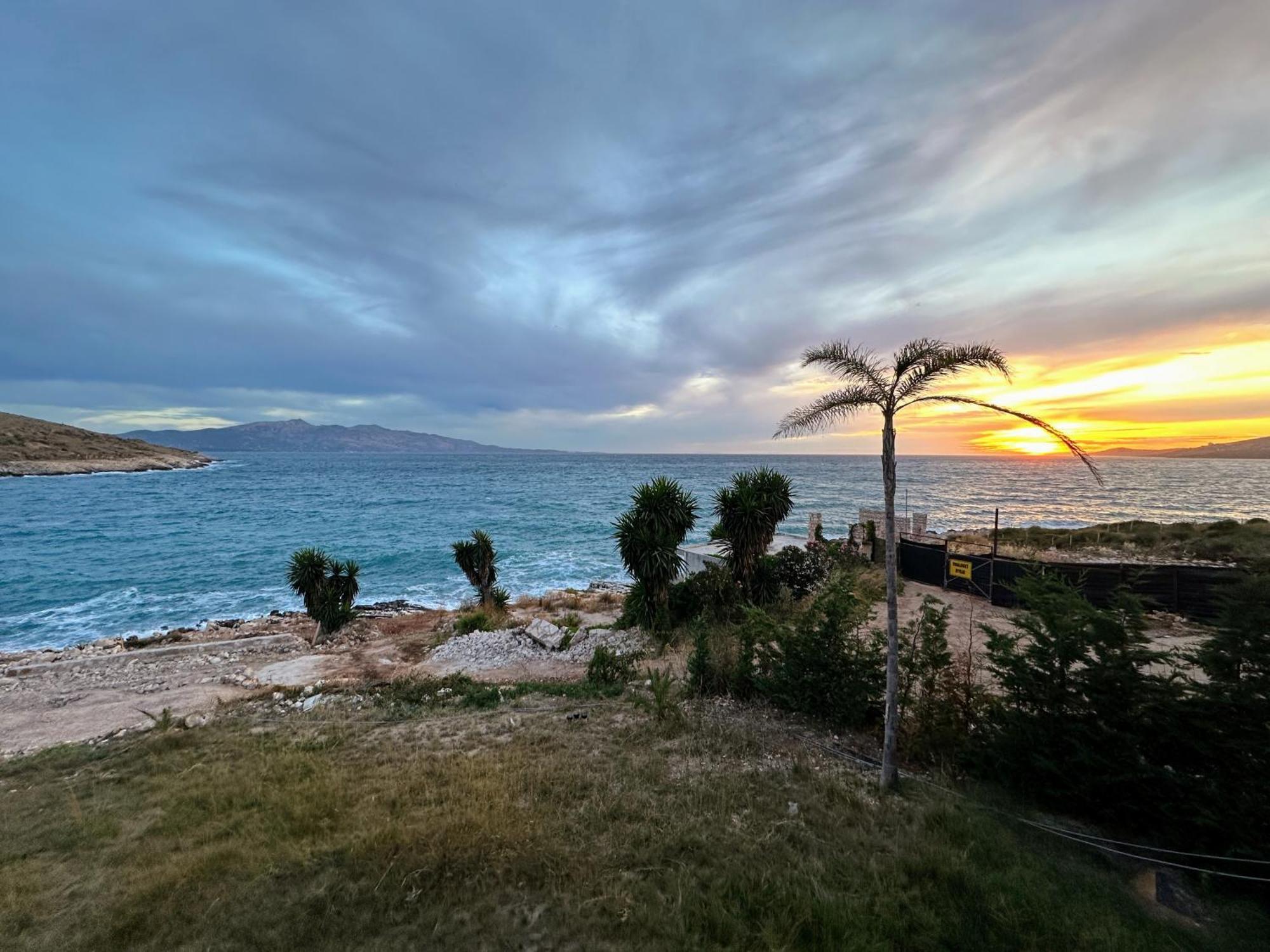 Palmera - Panorama *